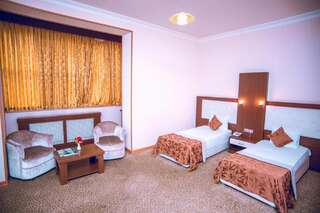 Отель Grand Nakhchivan Hotel Нахичевань Стандартный двухместный номер с 1 кроватью-11